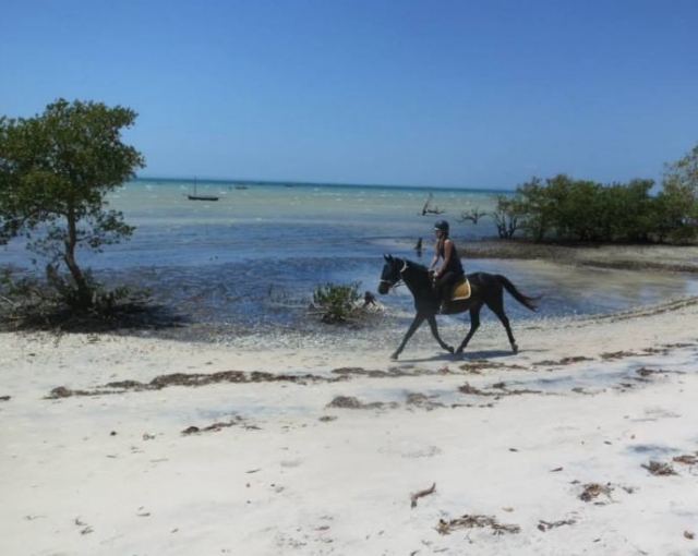  Passeggiata a cavallo in Mozambico 